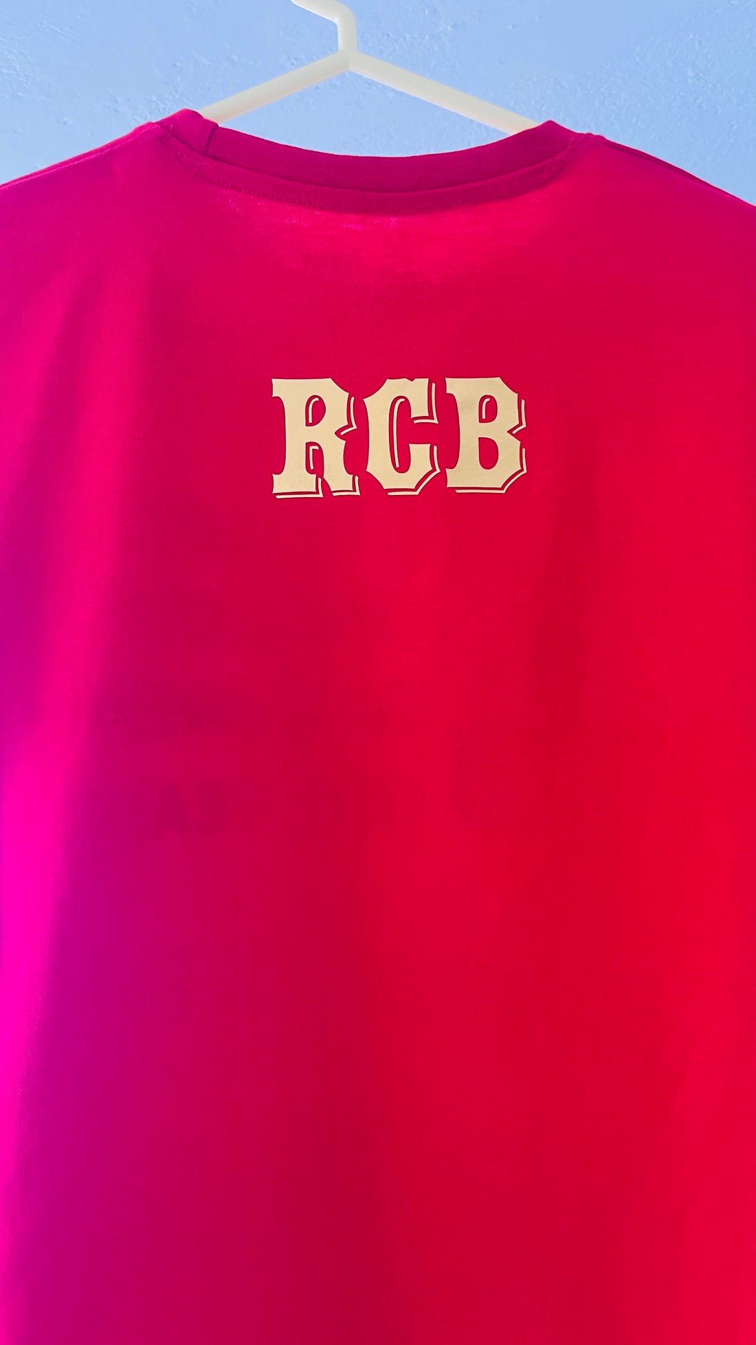 Royal Challengers Bangalore RCB red T-shirt with gold print lion logo and “One Life One Love One Dream One Team” slogan